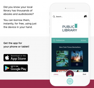 screenshot of Libby app information page
