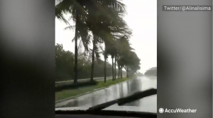 Screenshot of view of tropical storm from inside moving vehicle.