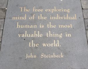 The free exploring mind of the individual human is the most valuable thing in the world. - John Steinbeck