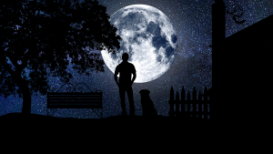 silhouette of standing man and sitting dog looking at a large moon in a starry sky. Silhouette of tree and bench on the left. Silhouette of fence and house on right.
