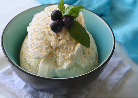 bown of vanilla ice cream with blueberries and three leaves