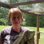 Caucasian woman holding an iguana and standing in an outdoor fenced enclosure.