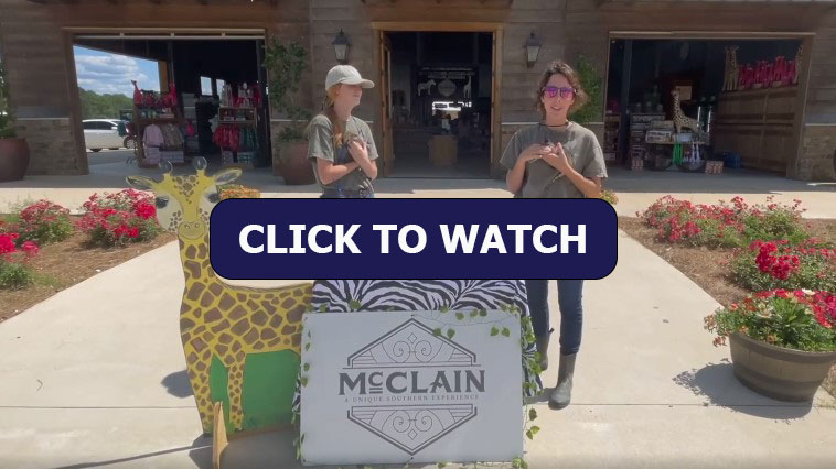 McClain safari thumbnail wiht Click to Watch button
