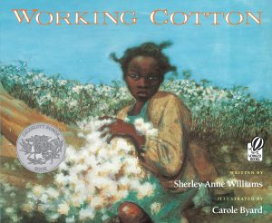 Working Cotton book cover