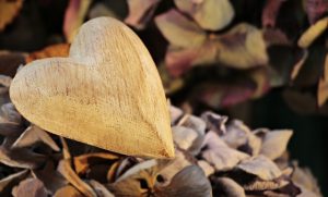 closeup of wooden heart lying on nature trail