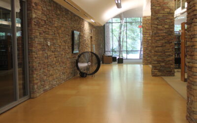 The Quisenberry Library May Experience Intermittent Closures due to HVAC